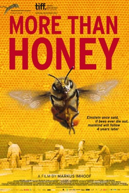 More Than Honey